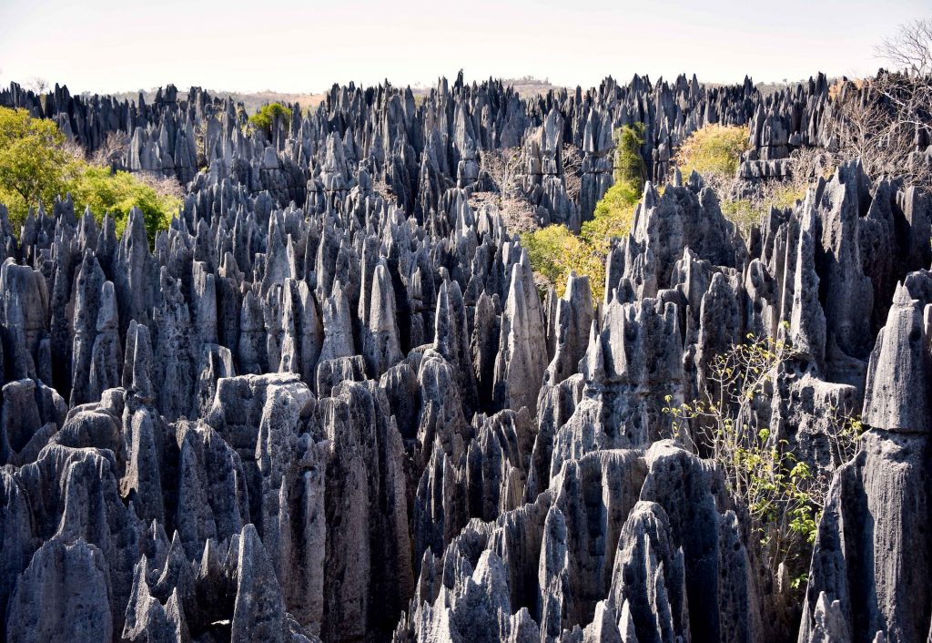 Unique and magic Madagascar