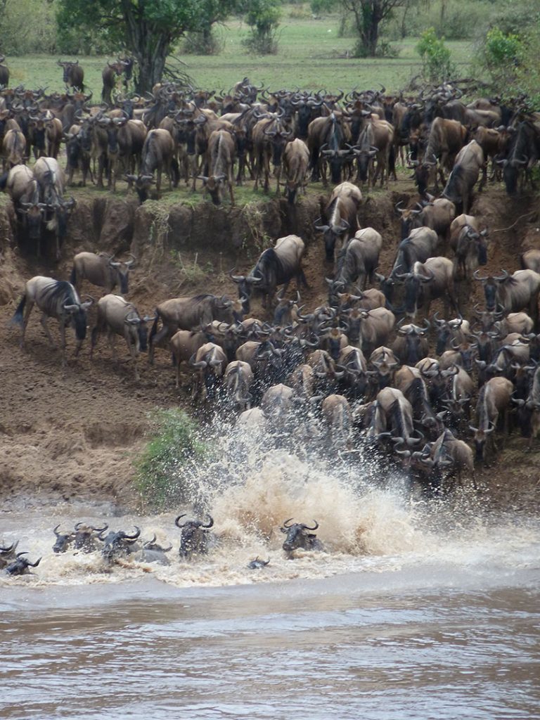 Tanzania Northern Circuit