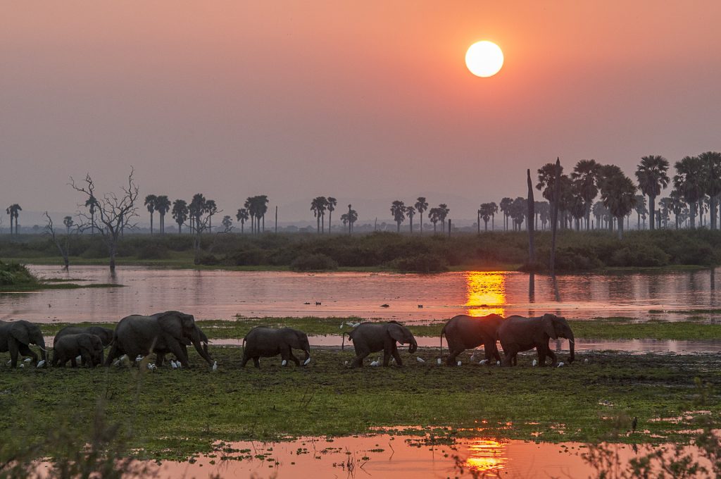 Tanzania Southern Circuit and Zanzibar