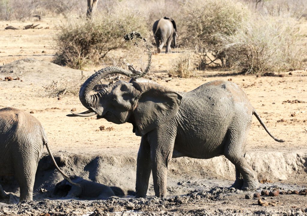 Rockfig Lodge Sudafrica