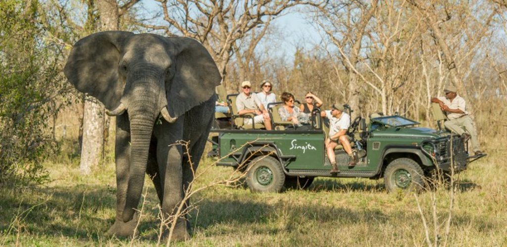 Singita luxury safari - Singita Private Game Reserve