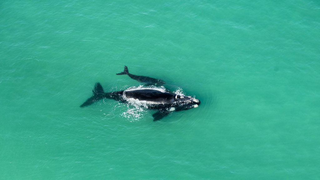 de hoop nature reserve
